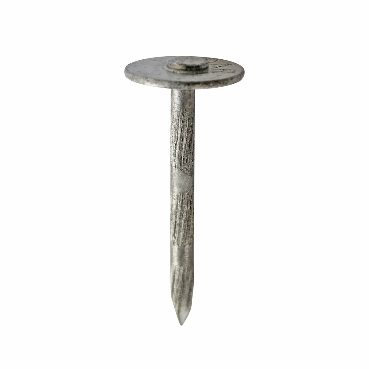 BÄR-Stahlnagel 20 mm mit breitem Flachkopf, Zentrierzapfen und gerilltem, spitzem Schaft.