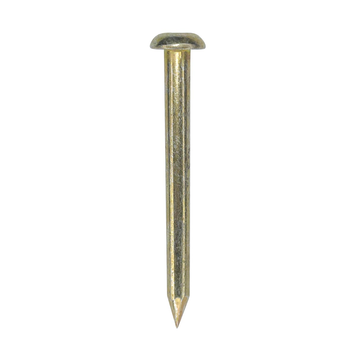 Gelb verzinkter Stahlmessnagel 100 mm mit halbrundem Kopf und langem spitzem Schaft.