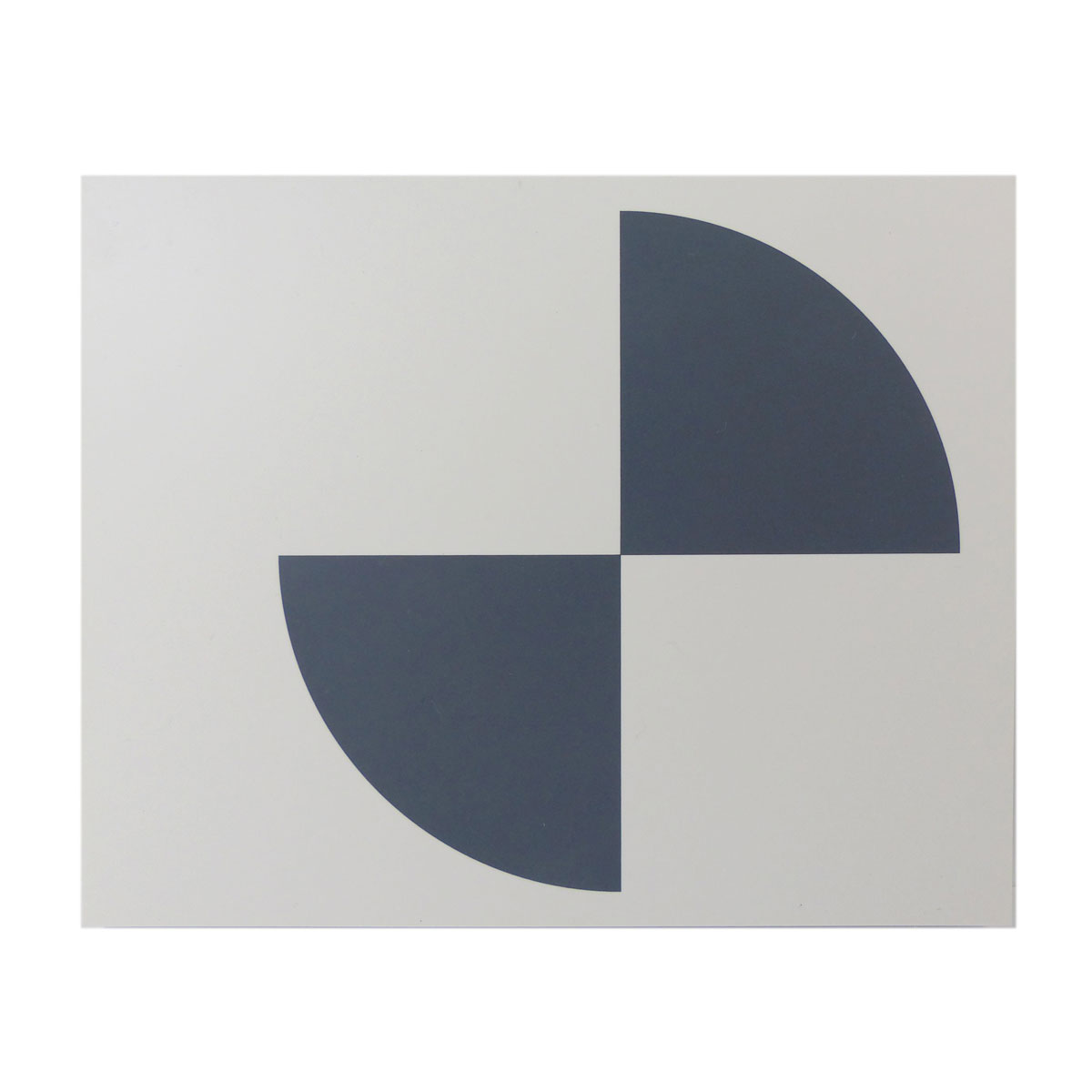 RSL301 Laserscanner-Marke von Rothbucher Systeme
