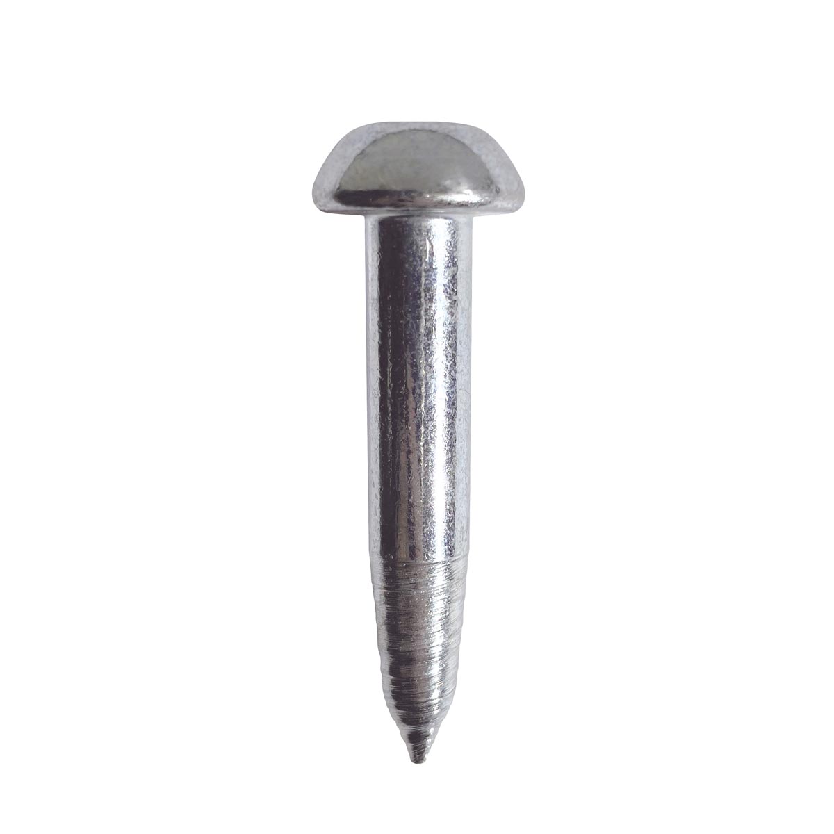 Verzinkter Stahlmessnagel 55 mm mit halbrundem Kopf und spitzem, teils gerilltem Schaft.