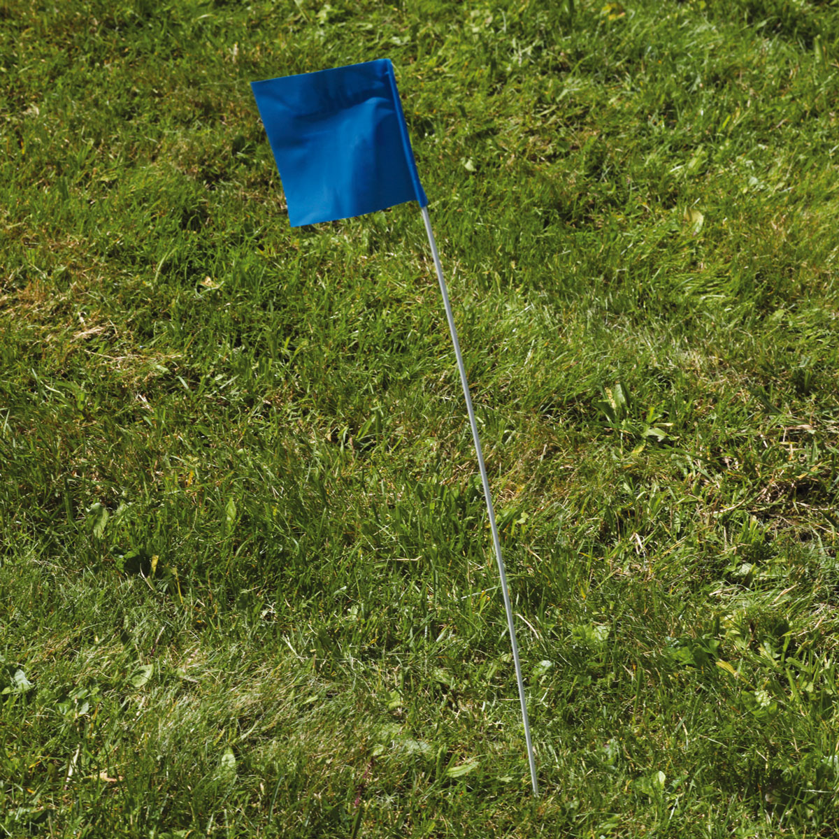 Markierungsflaggen, blau 127 x 102 mm, Stab aus Kunststoff 610 mm