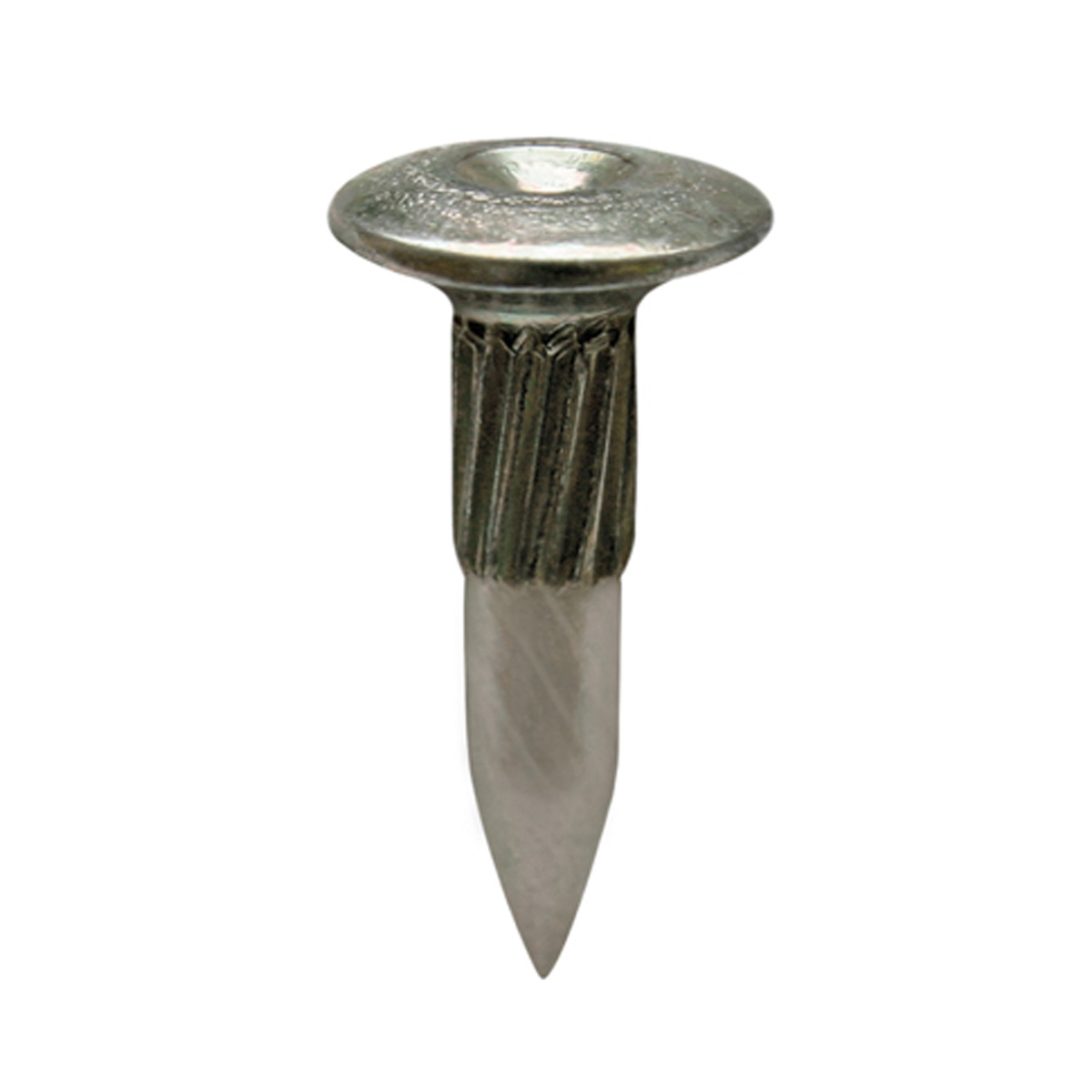 Verzinkter Linsenkopf-Bolzen 30 mm mit Kopf-Ø 15 mm, Zentrierung und geriffeltem Schaft.