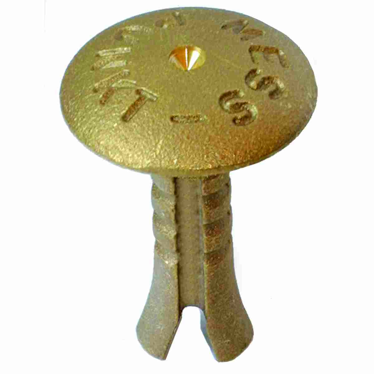 Messingbolzen 70 mm mit Kopf-Ø 50 mm, Aufschrift Messungspunkt, Zentrierung und gespreiztem Schaft.