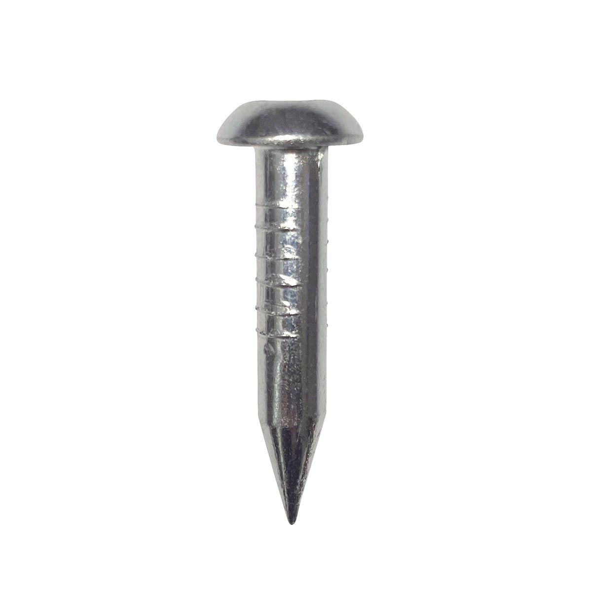 Stahlmessnägel mit halbrundem Kopf und Zentrierung, Länge 50 mm Stahlmessnägel mit halbrundem Kopf und Zentrierung, Länge 50 mm