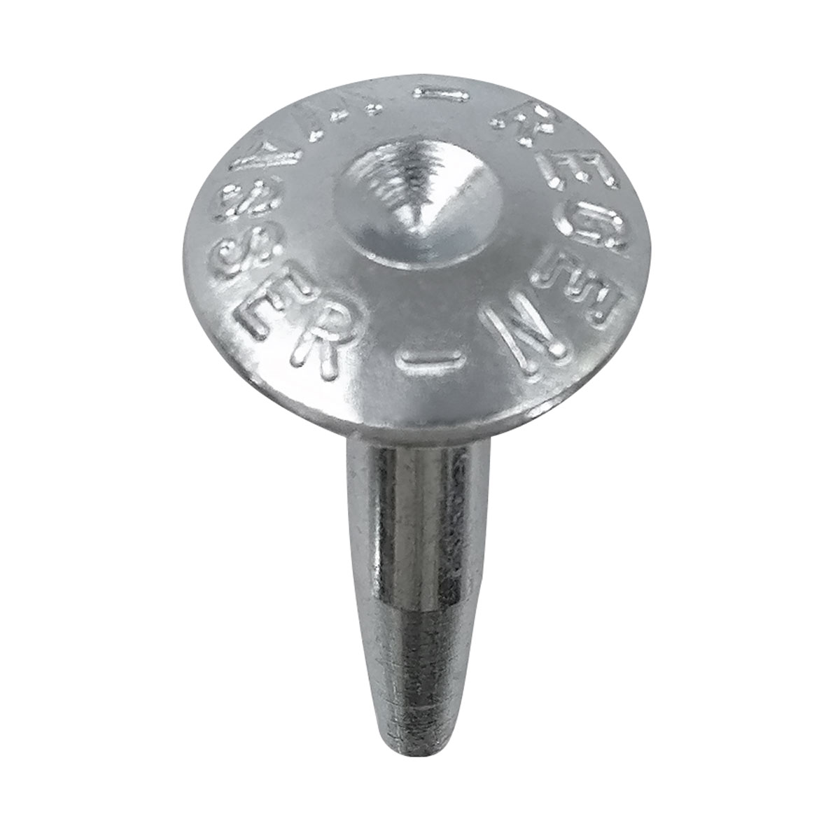 Verzinkter Superkopfbolzen 55 mm mit eingeprägter Aufschrift Regenwasser und zentraler Körnung im Kopf.