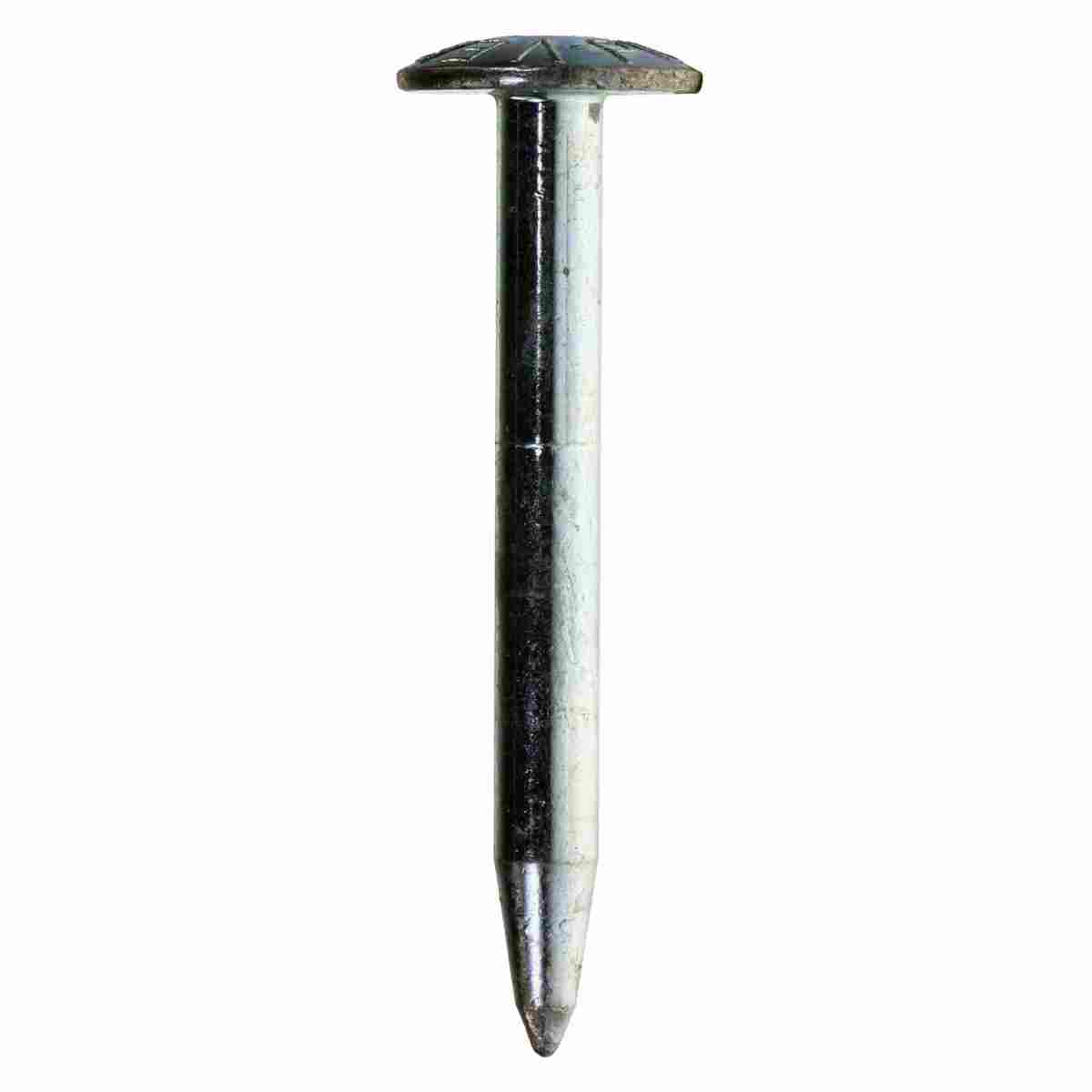 Superkopfbolzen, Länge 75mm, Aufschrift: SURVEY MARK