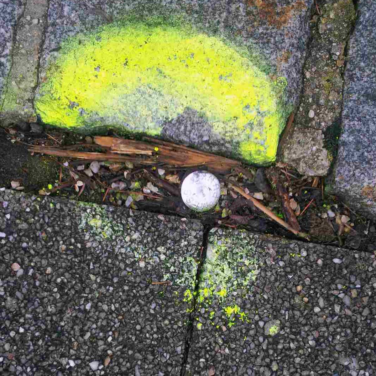 Superkopfbolzen Messpunkt eingeschlagen in einer Pflasterfuge, daneben gelbe Markierfarbe auf dem Bordstein.