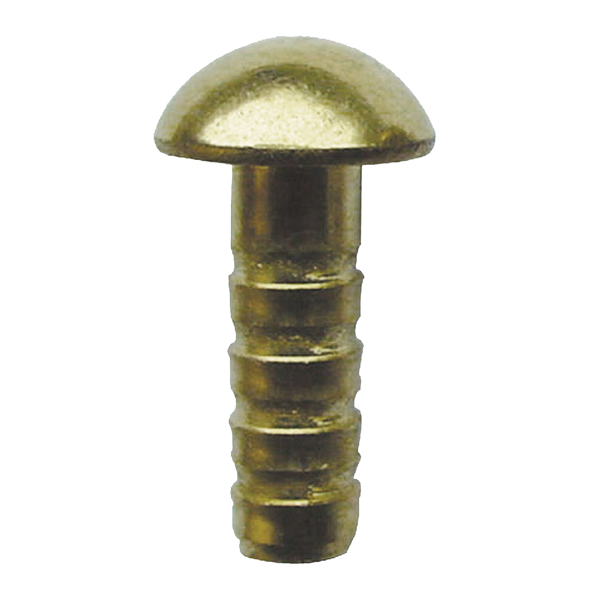 Bolzen aus Messing, 35 mm, mit halbrundem Kopf Ø 20 mm ohne Zentrierung und geriffeltem Schaft.