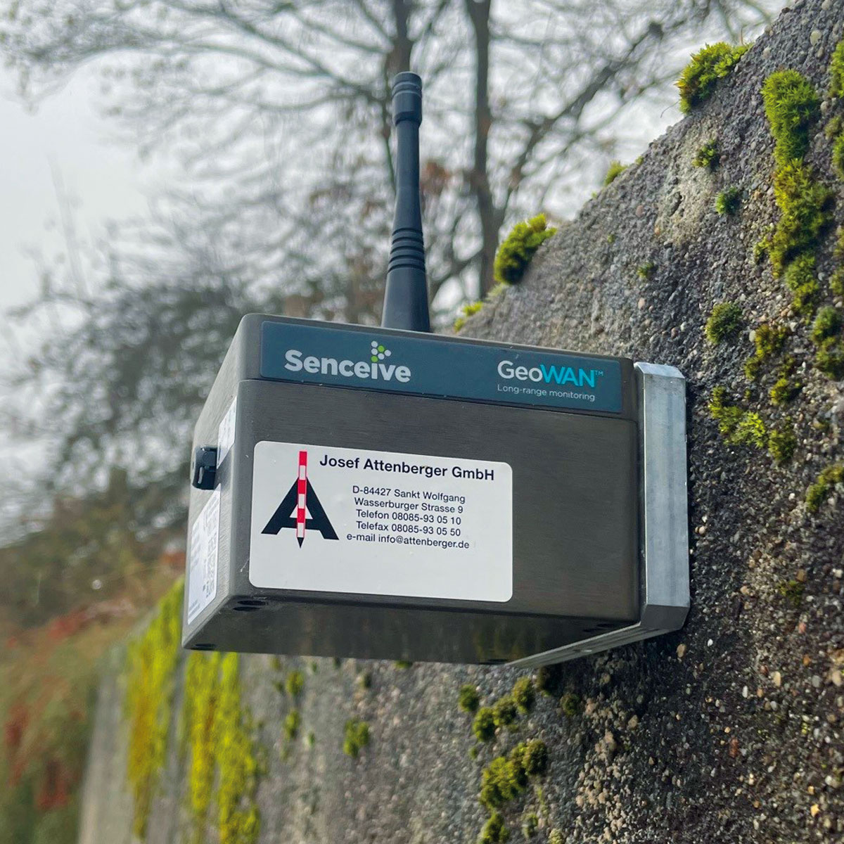 Der robuste GeoWAN Triaxial Tilt Sensor von Senceive ist draußen an einer moosigen Stützmauer montiert und überwacht Bewegungen.