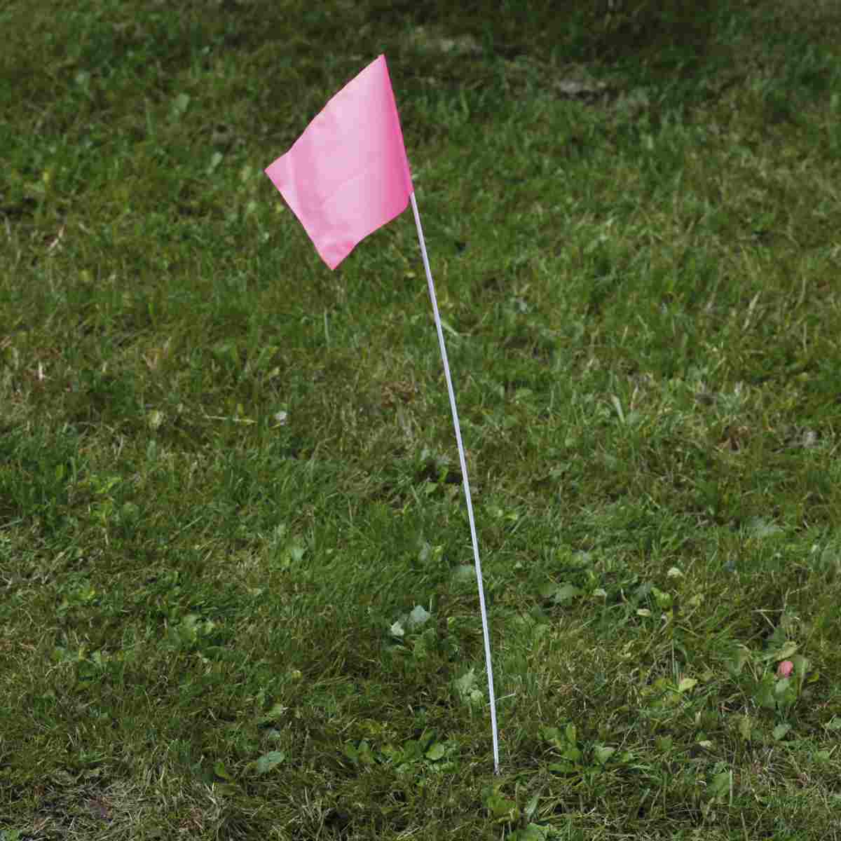 Markierungsflaggen, pink 127 x 102 mm, Stab aus Kunststoff 610 mm